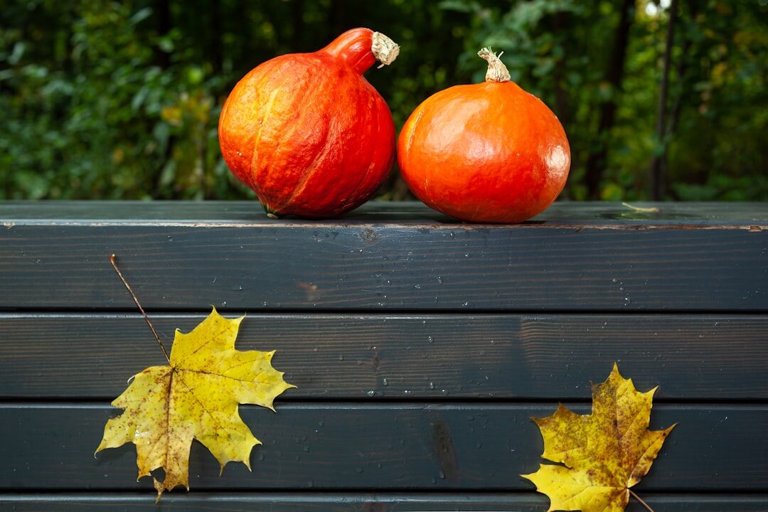 Autumn harvest of mushrooms, apples and pumpkins on a wooden table
